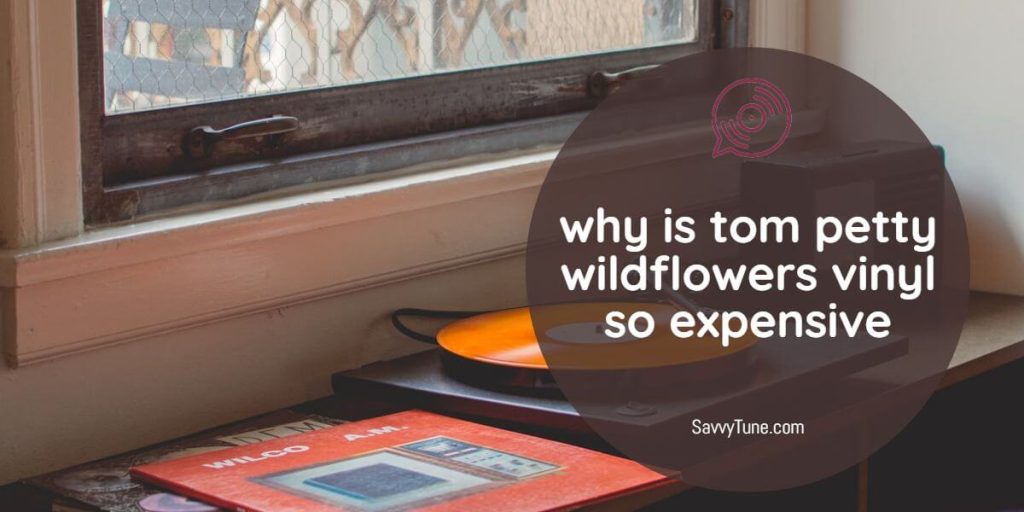 Why Is Tom Petty Wildflowers Vinyl So Expensive? Savvy Tune